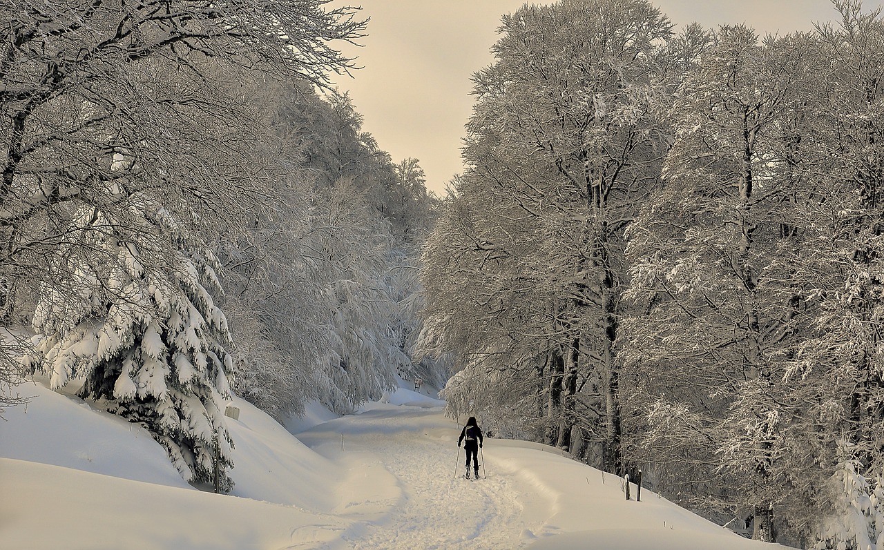 The Quiet Corners of Spain’s Sierra Nevada